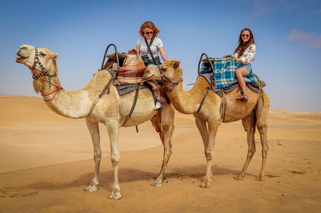 camel, nature, desert, namib desert, blue skies, namibians, camel rides, tourism, dune, brown desert