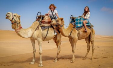 camel, nature, desert, namib desert, blue skies, namibians, camel rides, tourism, dune, brown desert