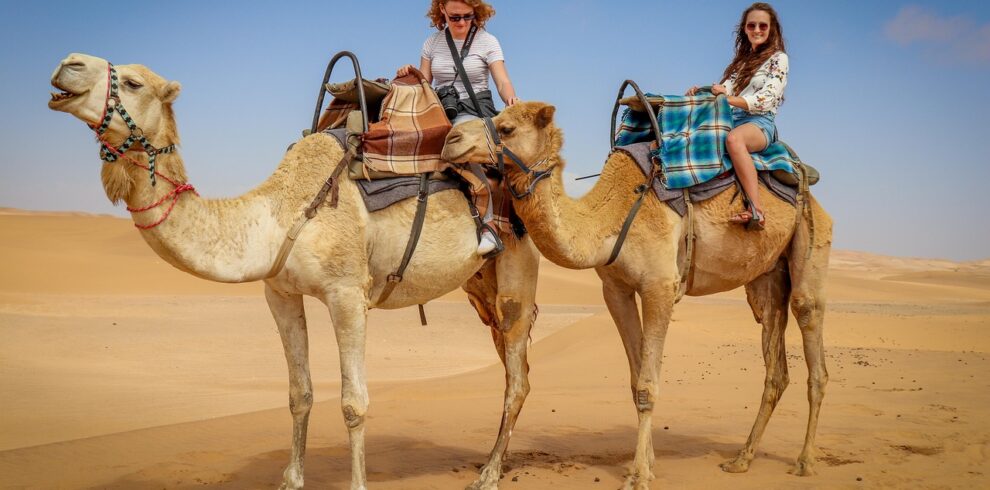 camel, nature, desert, namib desert, blue skies, namibians, camel rides, tourism, dune, brown desert