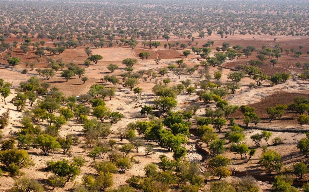 Tour di 6 Giorni da Agadir a Merzouga