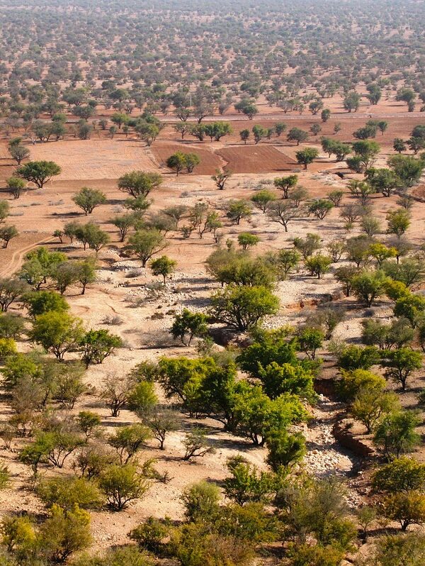 Tour di 6 Giorni da Agadir a Merzouga