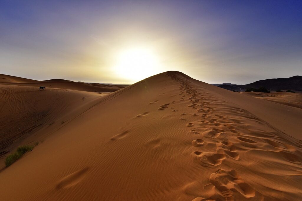 Tour di 15 Giorni da Casablanca Marocco