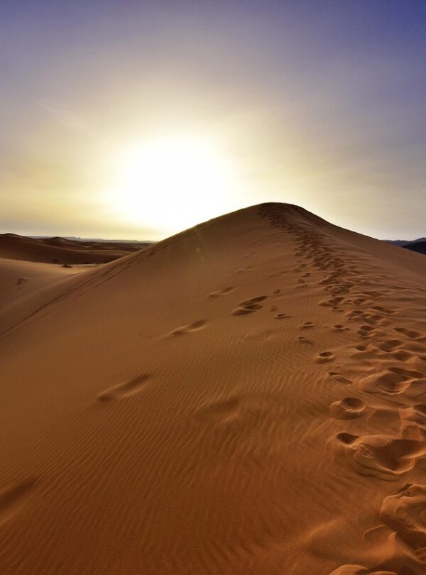 Tour di 15 Giorni da Casablanca Marocco