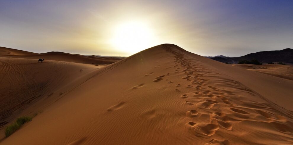 Tour di 15 Giorni da Casablanca Marocco