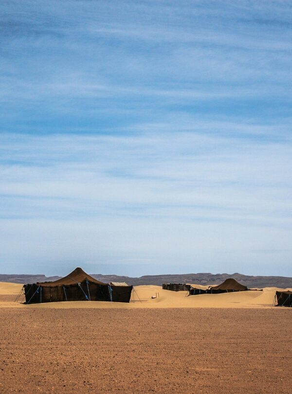 Majestic view of tents in the desert landscape of Zagora, Morocco with a clear blue sky.