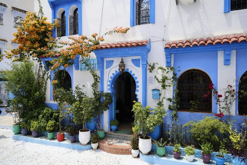 A stunning blue and white hotel facade in Chefchaouen, Morocco, decorated with vibrant plants.