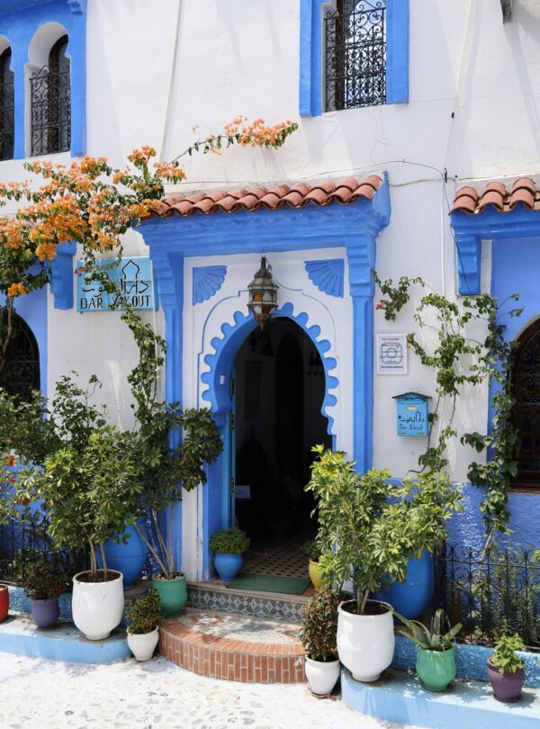 A stunning blue and white hotel facade in Chefchaouen, Morocco, decorated with vibrant plants.
