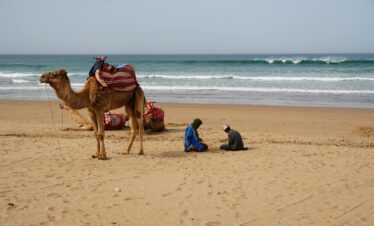 A scenic beach in Agadir, Morocco with camels and people by the ocean. Perfect vacation spot.