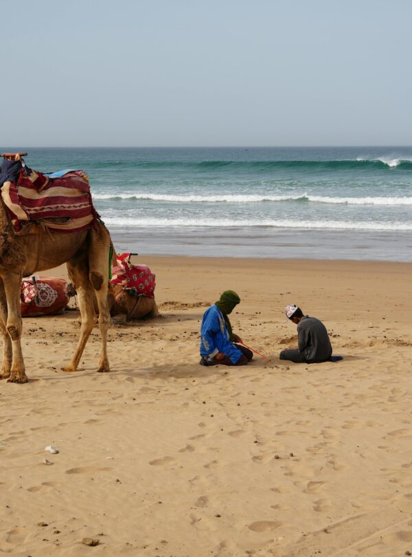 A scenic beach in Agadir, Morocco with camels and people by the ocean. Perfect vacation spot.