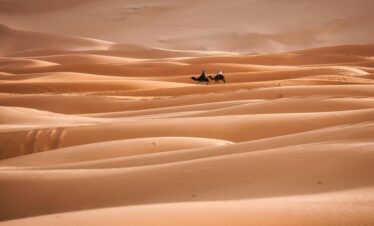 Two camels journey across expansive sand dunes in the Sahara Desert, Morocco, at dusk.
