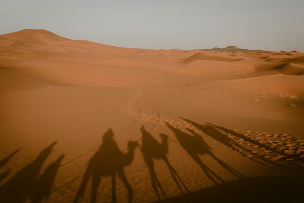 Tour di 9 Giorni da Marrakech