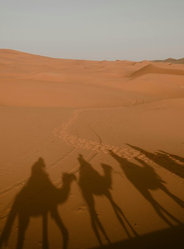 Tour di 9 Giorni da Marrakech