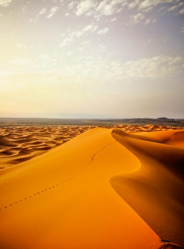 Tour di 3 Giorni da Fes a Marrakech