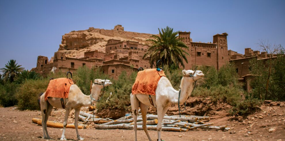 Tour di 6 Giorni da Marrakech al Deserto del Sahara di Merzouga